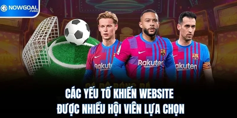 cac-yeu-to-khien-website-duoc-nhieu-hoi-vien-lua-chon